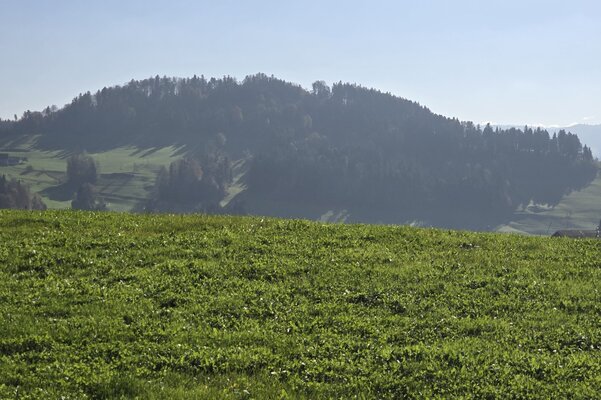 Hamberg